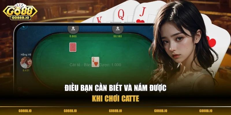 Điều bạn cần biết và nắm được khi chơi Catte